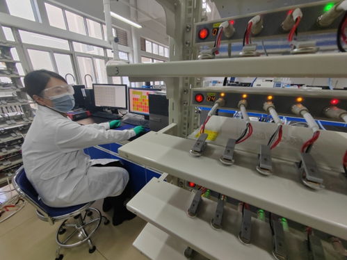 中國首創！洛陽牡丹殼變廢為寶，開啟鈉電池負極材料新紀元